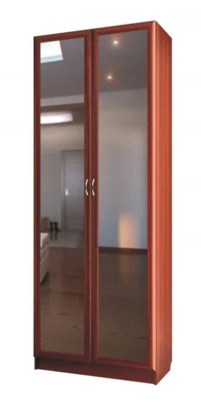 Шкаф Для платья 2-х дверный с зеркалами C 401/1 М - фото и характеристики