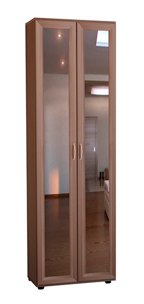 Шкаф 2-дверный с вешалкой и зеркалами Ш-61